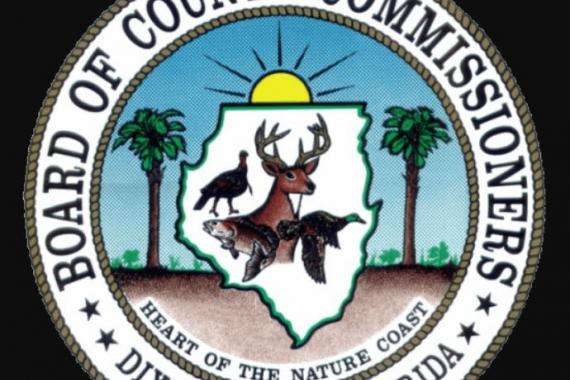 Dixie County Criminal Defense Attorney