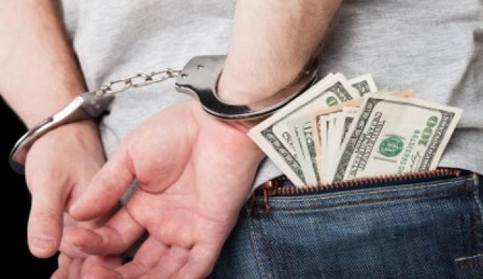 Theft and Fraud Offenses